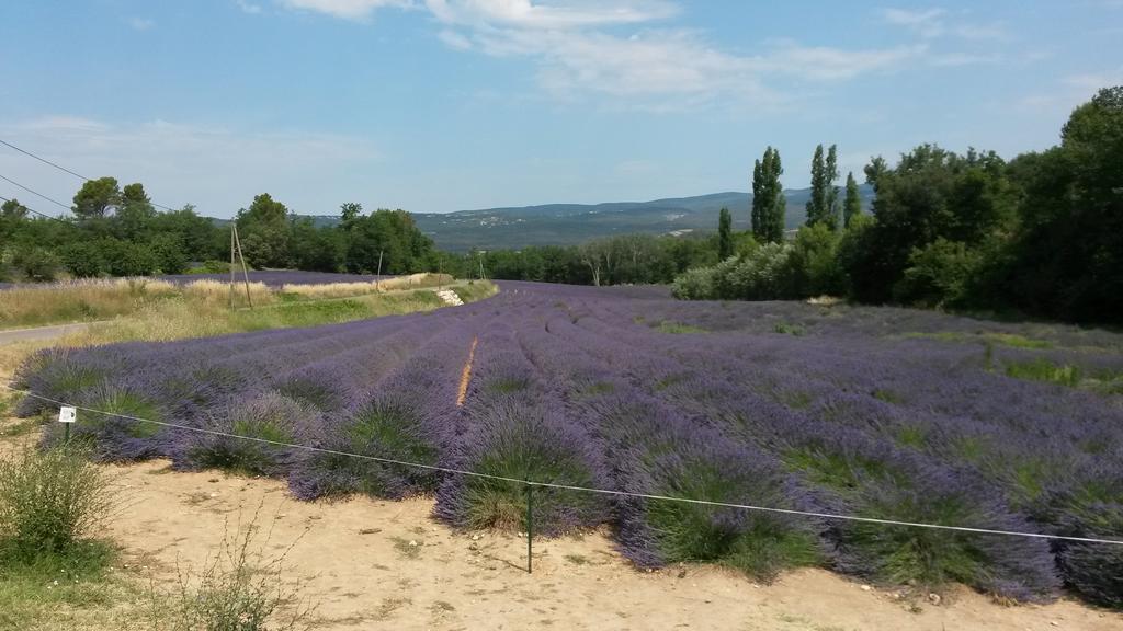 Residence Les Rossignols Roussillon en Isere Εξωτερικό φωτογραφία